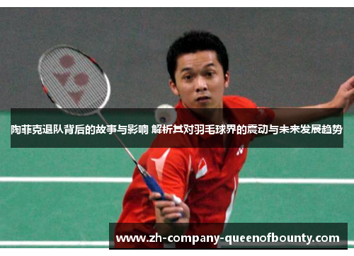 陶菲克退队背后的故事与影响 解析其对羽毛球界的震动与未来发展趋势