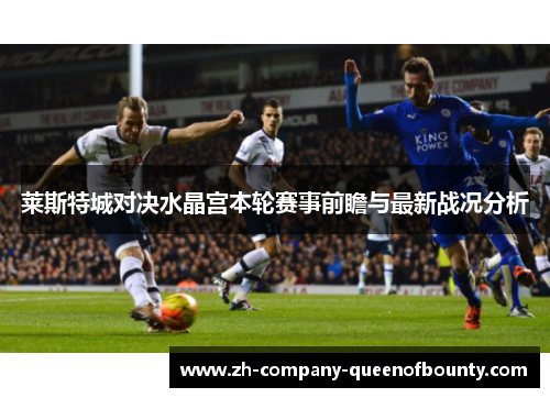 莱斯特城对决水晶宫本轮赛事前瞻与最新战况分析