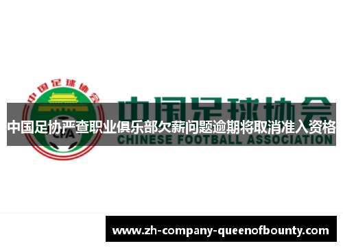 中国足协严查职业俱乐部欠薪问题逾期将取消准入资格