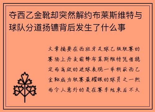 夺西乙金靴却突然解约布莱斯维特与球队分道扬镳背后发生了什么事